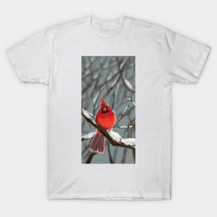 Cardinal in Snow T-Shirt